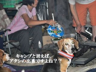 炭焼き番ビー