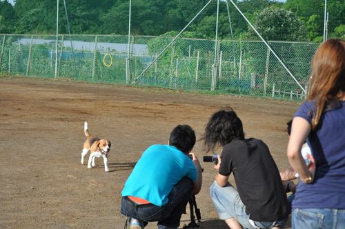 ウォーキング