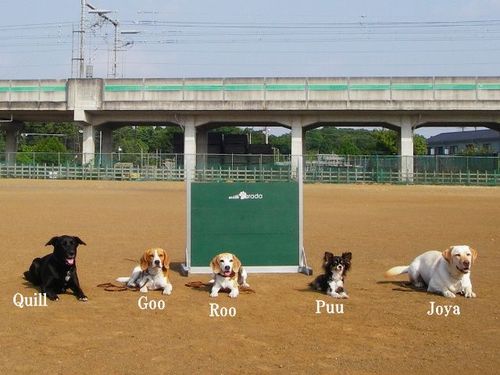 今日は、もうこれで終わりですかぁ～？