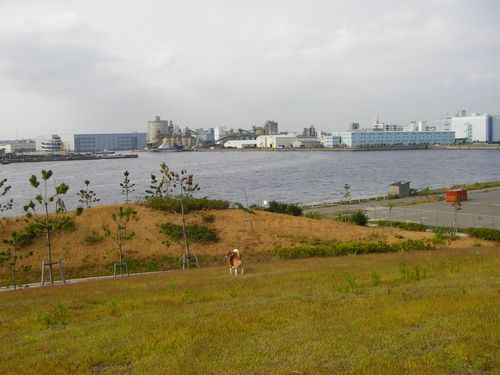 ここは、工業地帯さ～♪