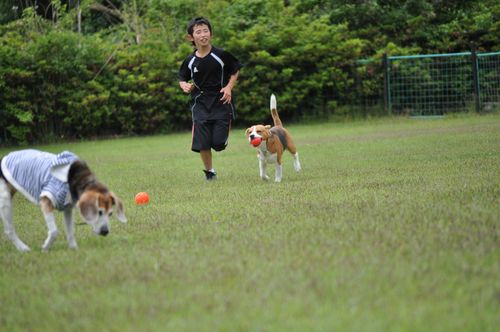 サルくんに遊んでもらうグー