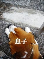 20100509_942997.jpg