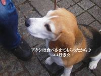 20100425_890177.jpg